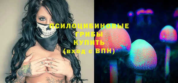 spice Алексеевка